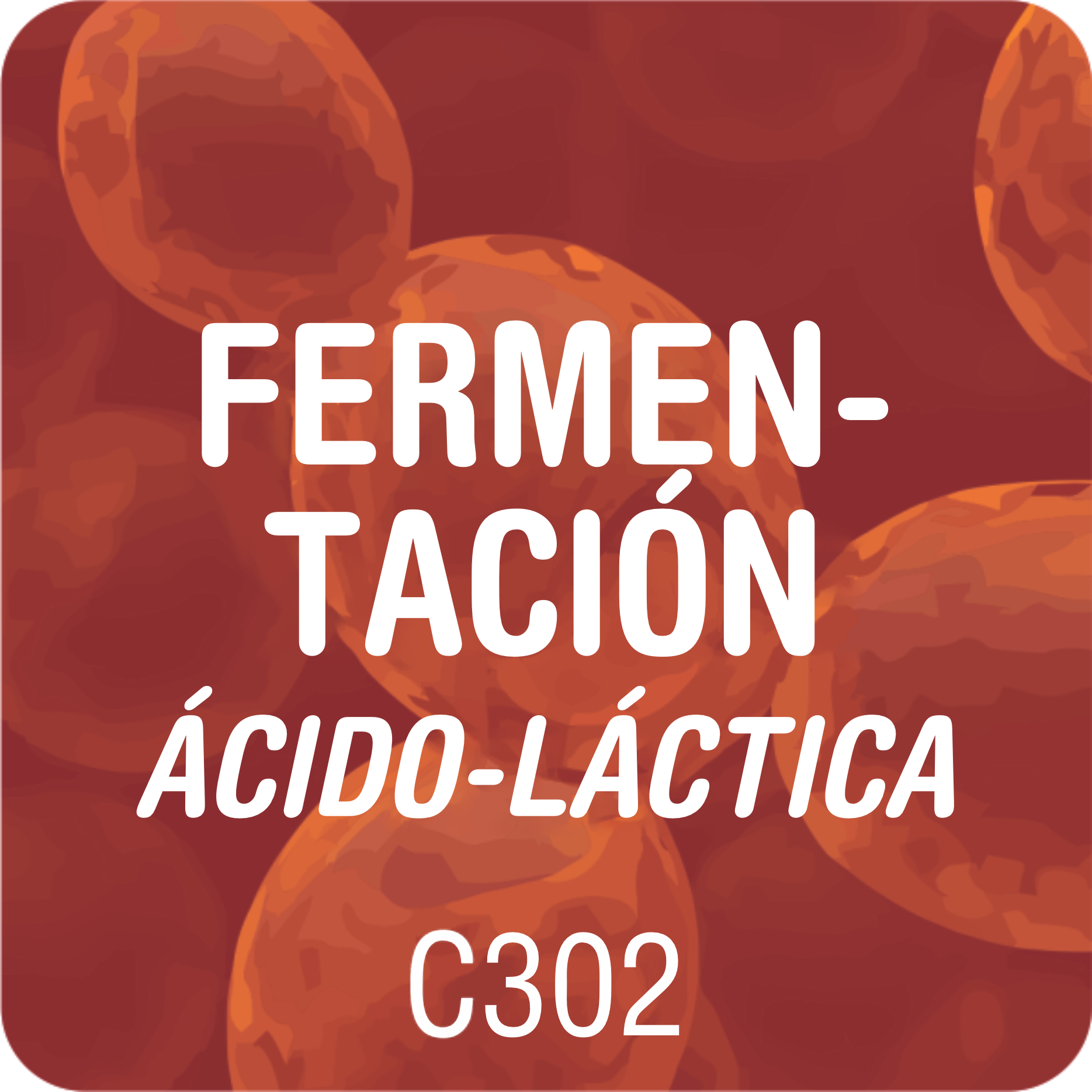 Fermentación Acido-Lactica